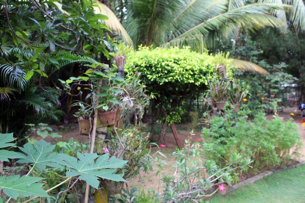 Anura Home Stay Kalutara Eksteriør bilde