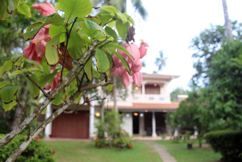 Anura Home Stay Kalutara Eksteriør bilde